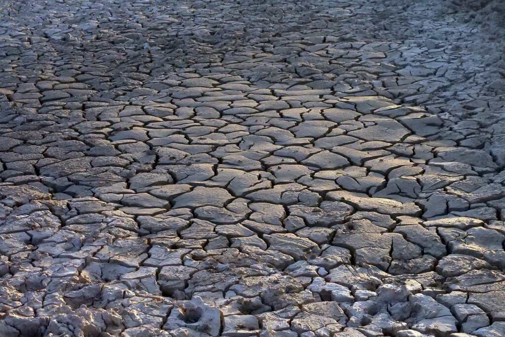 (Rick Bowmer | The Associated Press) In this July 12, 2018 photo, baked earth is shown in a dry watering hole outside Salt Lake City. This now dried up watering hole previously provided water to a herd of wild horses. Harsh drought conditions in parts of the American West are pushing wild horses to the brink and forcing extreme measures to protect them. Federal land managers have begun emergency roundups in the deserts of western Utah and central Nevada.