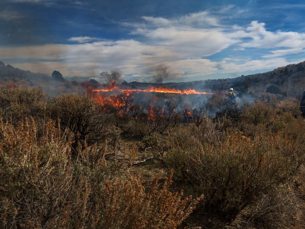 (Leah Hogsten | The Salt Lake Tribune) Mike Elson, the forest supervisor for Fishlake National Forest, lays down lines of fire with the use of a Terra Torch during a prescribed burn, Saturday, Nov. 6, 2021. The day's weather conditions of overcast skies and high relative humidity forced the cancelation of the burn after the sagebrush, juniper, pinyon pine and gambel oak would not catch fire. Utah's national forests are ramping up their use of controlled burning to improve forest health.