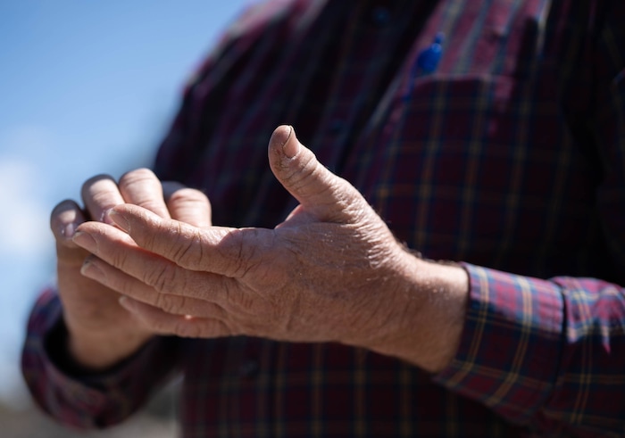 (Francisco Kjolseth | The Salt Lake Tribune) Years of hard work can be seen on Randy Revoir’s hands, a Nephi rancher, recently checking in on his cattle in Juab County on Thursday, April 8, 2021. Revoir has banded together with other livestock producers to form the Central Utah Livestock Association, a group that offers a $20,000 reward for tips leading to the arrest of anyone who kills a member's animal. Livestock shootings soared in 2020 during the pandemic, but the reasons for the increase are unclear.