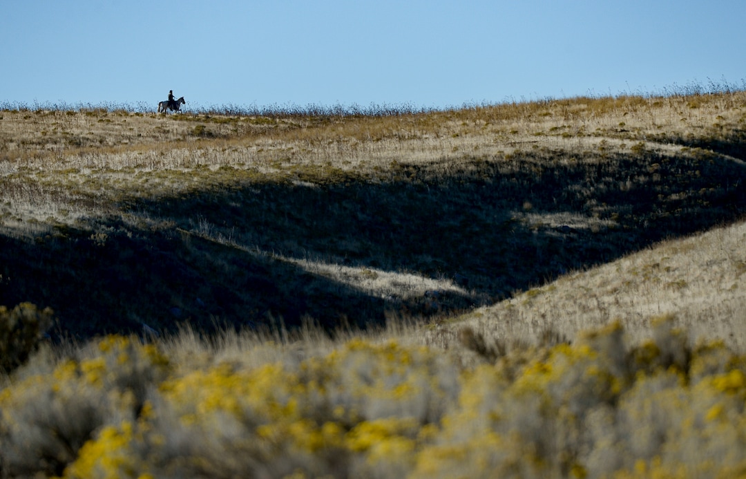 (Francisco Kjolseth  |  The Salt Lake Tribune)  A lone cowboy crests a hill as during the 33rd annual Bison Roundup, Saturday, Oct. 26, 2019, on Antelope Island, a state park located near Syracuse in Davis County. Every year Utah wildlife and parks officials move the animals from across the island so they can be weighed, tagged and given health screenings.