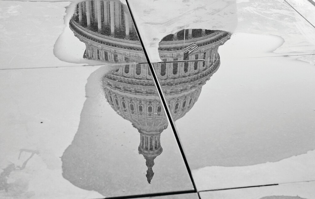 The Capitol is reflected in a puddle in Washington, June 20, 2024. (Damon Winter/The New York Times)