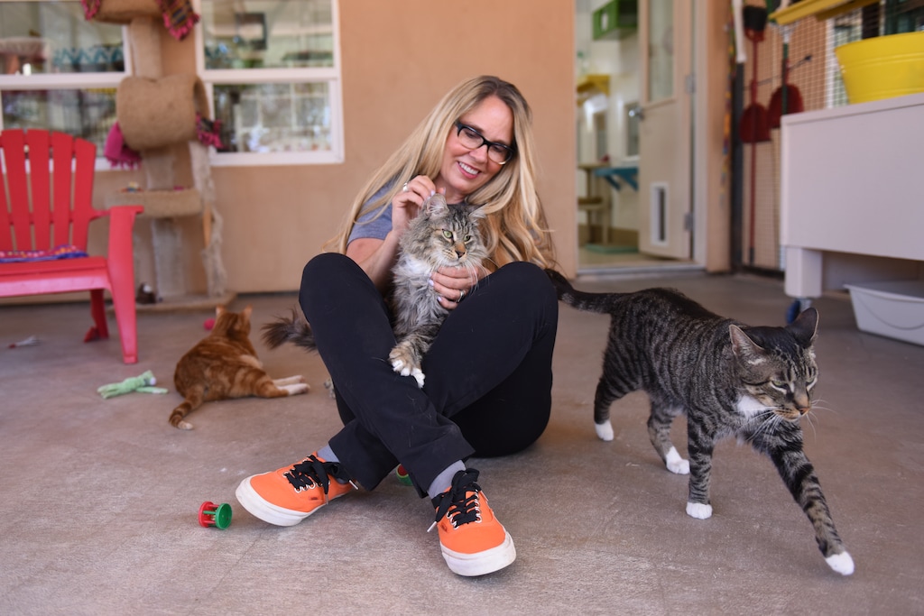 (Best Friends Animal Society)  Best Friends Animal Society CEO Julie Castle.
