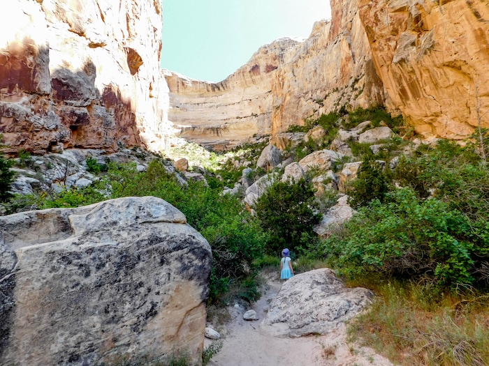 Erin Alberty  |  The Salt Lake TribuneA young hiker approaches Box Canyon on May 29, 2017 in Dinosaur National Monument.