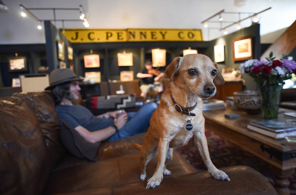 (Francisco Kjolseth  |  The Salt Lake Tribune)  George Waldren of Scottsdale, Arizona and his dog Lulu listen to live music inside the studio belonging to artist Steve Adams who bought the JC Penney store and created an art studio on the main floor and a home on the Mezzanine on Main Street in Helper, Utah as people explore art galleries and studios during Helper First Fridays on Friday, Aug. 2, 2019. 