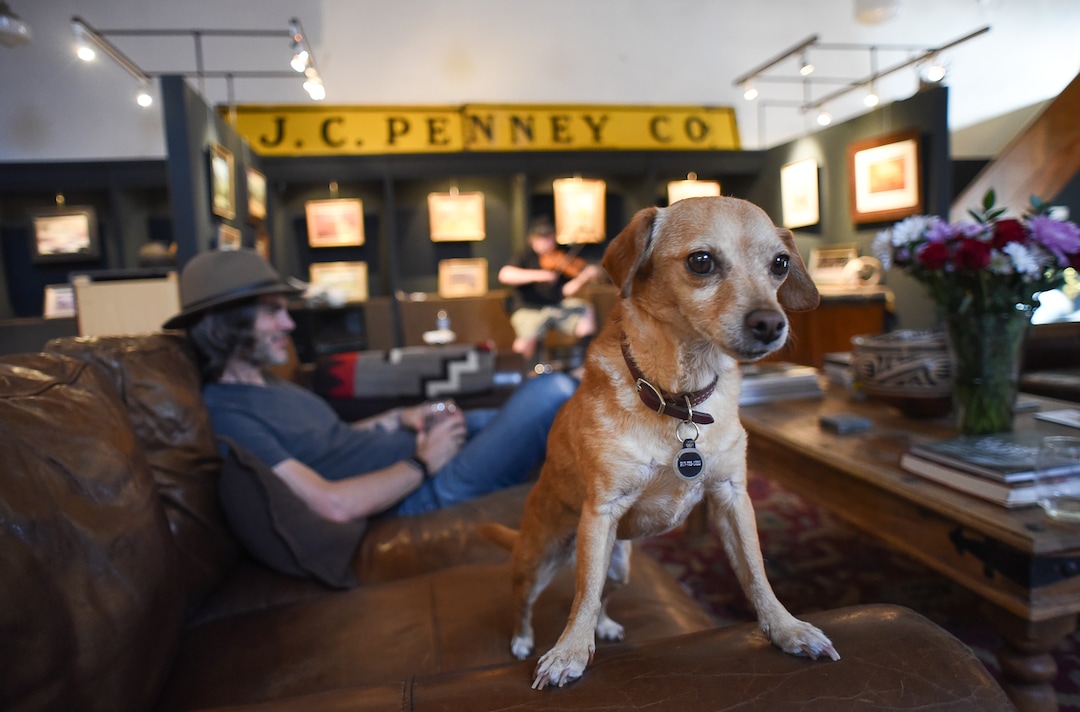 (Francisco Kjolseth  |  The Salt Lake Tribune)  George Waldren of Scottsdale, Arizona and his dog Lulu listen to live music inside the studio belonging to artist Steve Adams who bought the JC Penney store and created an art studio on the main floor and a home on the Mezzanine on Main Street in Helper, Utah as people explore art galleries and studios during Helper First Fridays on Friday, Aug. 2, 2019.