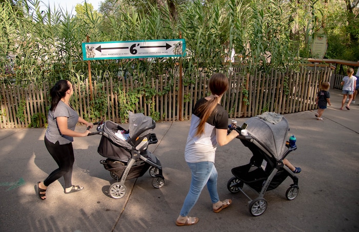 (Francisco Kjolseth  |  The Salt Lake Tribune) Hogle Zoo maintains social distancing practices, encourages guests to wear masks and limits the number of visitors as people walk the grounds on Thursday, August 27, 2020.