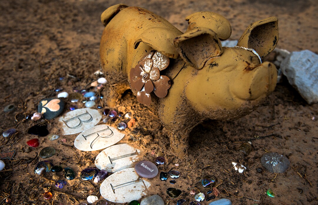 Leah Hogsten  |  The Salt Lake TribuneAngels Rest is a three-acre cemetery for some 5,000 ÒplacementsÓ of dogs, cats, pigs, guinea pigs, birds and more features memorials of all kinds including wind chimes, painted rocks and personal effects.  Best Friends saves thousands of animals every year as the nation's largest no-kill sanctuary, encompassing some 3,700 acres about 5 miles outside Kanab.