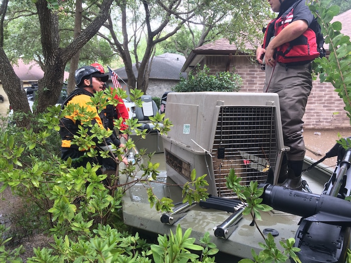 Best Friends Animal Society staff members and volunteers help rescue and reunite pets with people in the aftermath of Hurricane Harvey. Courtesy | Best Friends Animal Society.