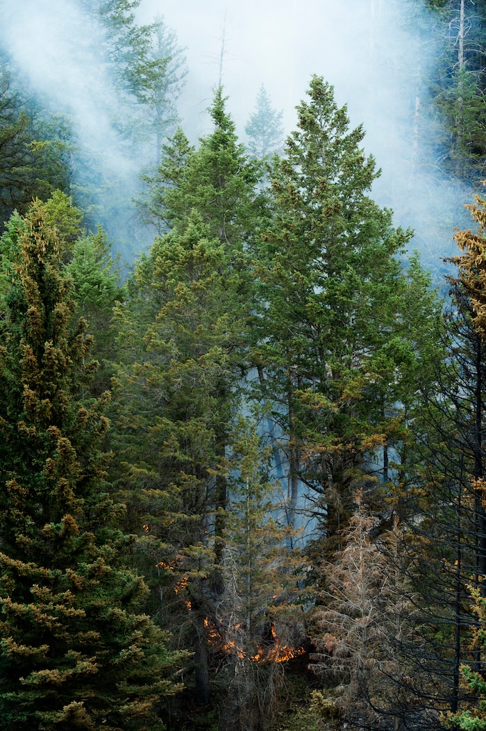 (Rick Egan  |  The Salt Lake Tribune)        Portions of the mountain along highway 40 continue to burn from the Dollar Ridge Fire, Tuesday, July 10, 2018.


