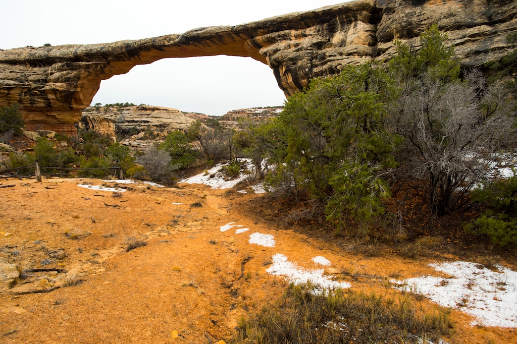 (Rick Egan  |  The Salt Lake Tribune)
Owachomo Bridge, in Natural Bridges National Monument, Friday, Jan. 13, 2017.