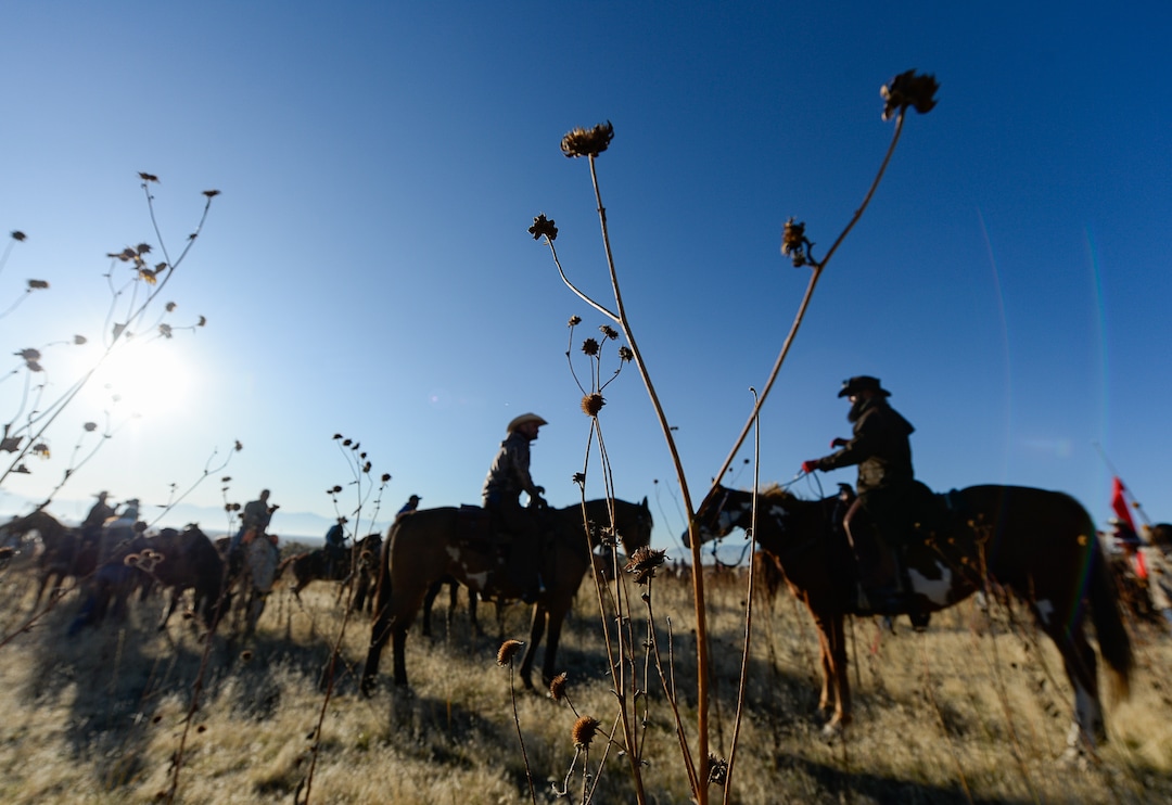 (Francisco Kjolseth  |  The Salt Lake Tribune)  Riders on horseback herd bison during the 33rd annual roundup, Saturday, Oct. 26, 2019, on Antelope Island, a state park located near Syracuse in Davis County. Every year Utah wildlife and parks officials move the animals from across the island so they can be weighed, tagged and given health screenings.