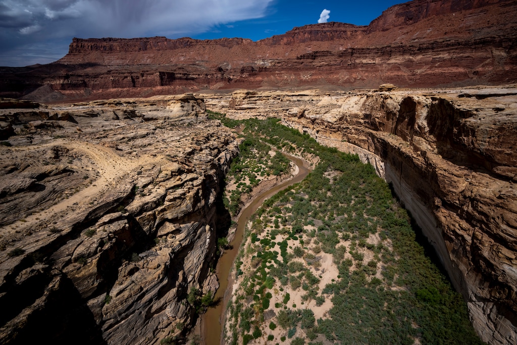 (Rick Egan | The Salt Lake Tribune) The Dirty Devil River near Hite, on Wednesday, July 13, 2022.