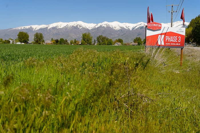 Trent Nelson | The Salt Lake Tribune
Undeveloped property owned by House Majority Leader Brad Wilson in Kaysville along the proposed route of the West Davis Corridor, Thursday May 4, 2017.