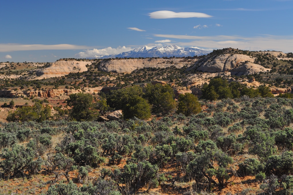 (Neal Clark | Southern Utah Wilderness Alliance) Canadian companies have commenced exploratory uranium drilling at Harts Point, located northwest of Monticello across the road from Bears Ears National Monument.