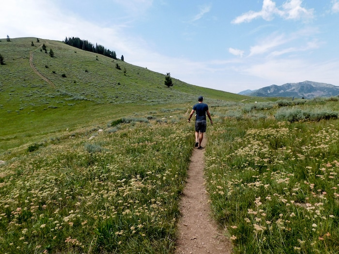 (Erin Alberty|The Salt Lake Tribune) The Ontario Trail winds down the mountains from the top of the Sterling Express lift to Bald Mountain at Deer Creek Resort. Photo taken Aug. 6, 2017.