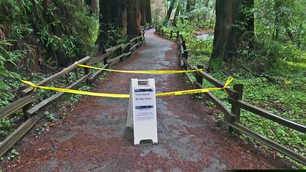 (KPIX-TV via AP) In this photo provided by CBS San Francisco shows a sign showing a trail closed sign at the entrance to the Muir Woods National Monument in Marin County, Calif. Authorities say a Redwood tree fell and fatally struck a man visiting Muir Woods National Monument Park on Christmas Eve, Dec. 24, 2019.