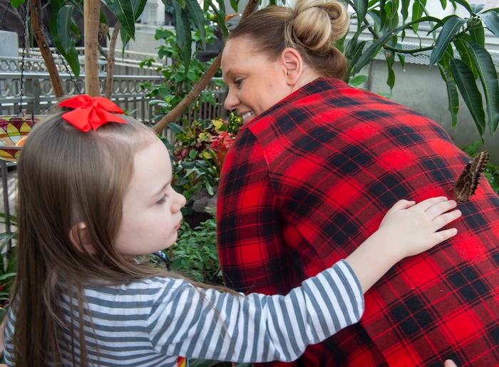 (Rick Egan  |  The Salt Lake Tribune)     
Brooke Barker holds still as 6-year-old Hallie Barker watches a butterfly that landed on her back, at the Butterfly Biosphere at Thanksgiving Point’s Water Tower Plaza in Lehi. Tuesday, Jan. 22, 2019.  The Butterfly Biosphere is home to more than a thousand butterflies from around the world.  