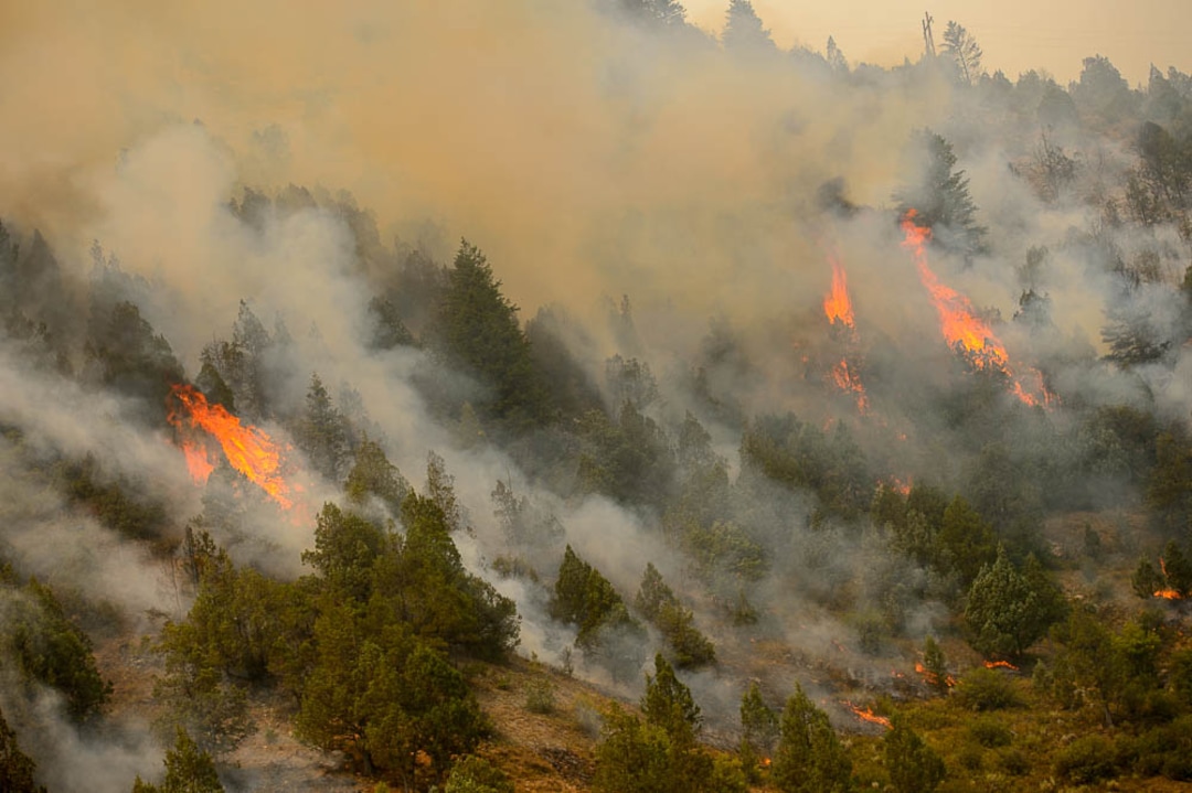(Trent Nelson | The Salt Lake Tribune) The Coal Hollow Fire burns along Highway 6 in Utah County, Friday Aug. 10, 2018.