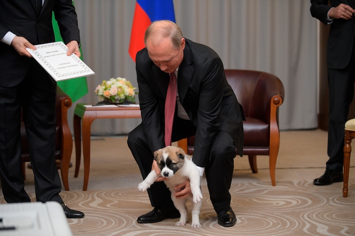 Russian President Vladimir Putin, right, holds a puppy presented by Turkmenistan's President Gurbanguly Berdymukhamedov during their meeting in the Bocharov Ruchei residence in the Black Sea resort of Sochi, Russia, Wednesday, Oct. 11, 2017. The presidents met at the sidelines of a summit of leaders of ex-Soviet nations in Sochi. (Alexei Druzhinin/Sputnik, Kremlin Pool Photo via AP)