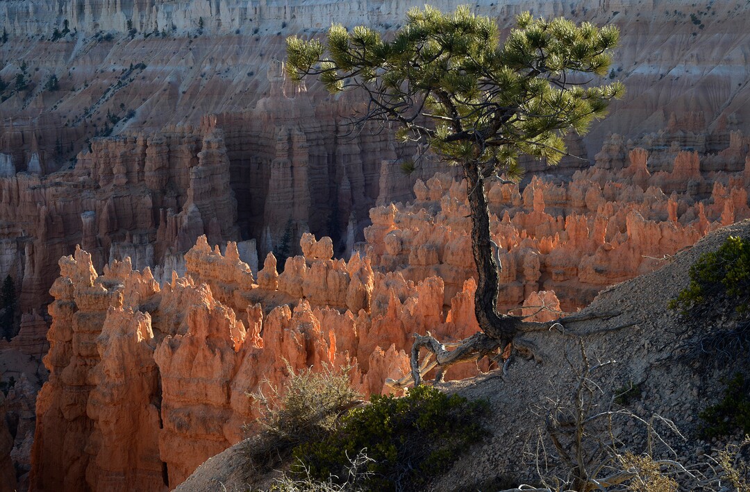 (Scott Sommerdorf   |  The Salt Lake Tribune)  "Sunset Point" in Bryce Canyon National Park, Saturday, October 14, 2017. 