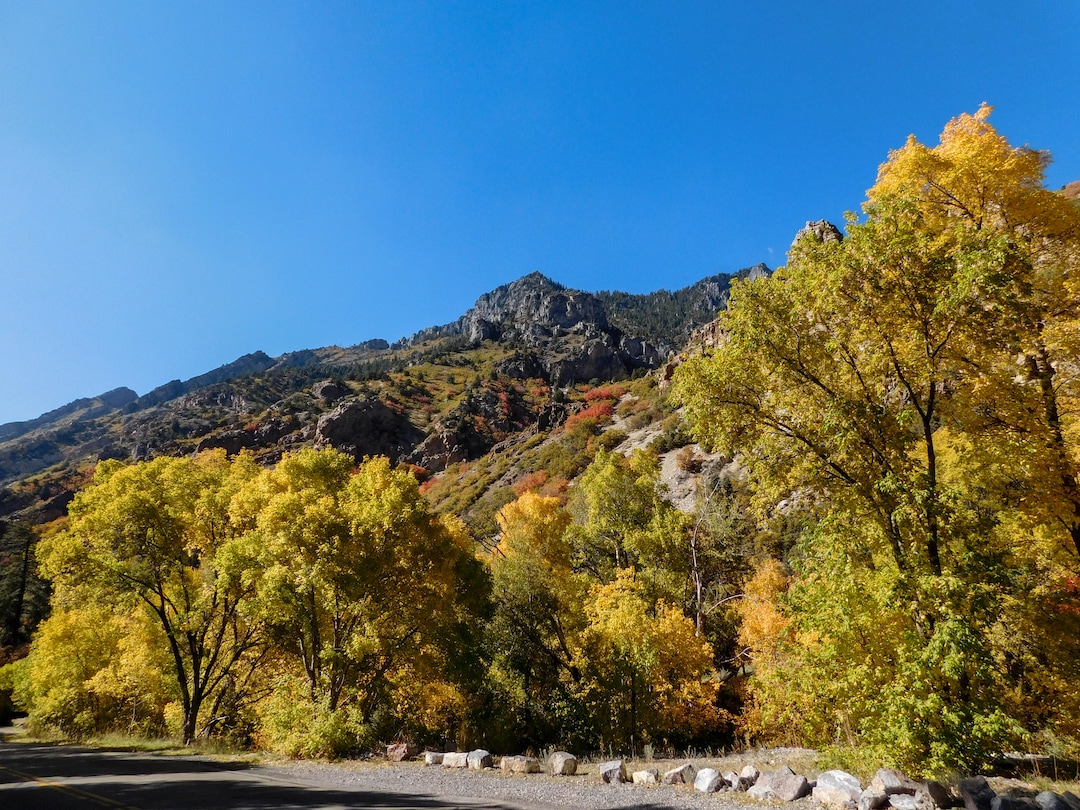 (Erin Alberty|The Salt Lake Tribune) Cottonwood, maple and aspen paint a rainbow of colors on the walls of American Fork Canyon on Oct. 9, 2017 in Utah County.