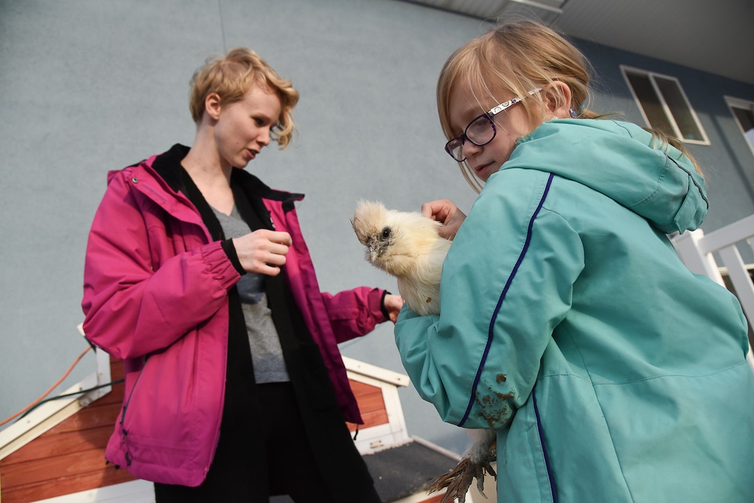 (Francisco Kjolseth  |  The Salt Lake Tribune)  Skyrie Sacks, 7, cuddles a silkie bantam mini chicken named Mew as she and her mother, Natalie, visit the family coop in the back of their house in West Clinton. Natalie Sacks says emotional support chickens have helped her daughter deal with PTSD from a traumatic accident that happened when she was 4. The Sacks family had to move from their home in Herriman because of an HOA dispute over the chickens.
