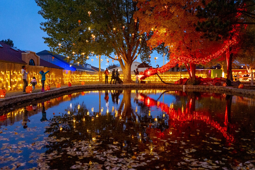 (Trent Nelson  |  The Salt Lake Tribune)
Visitors at Pumpkin Nights take in a dragon display at the Utah State Fairpark in Salt Lake City on Monday, Oct. 28, 2019.