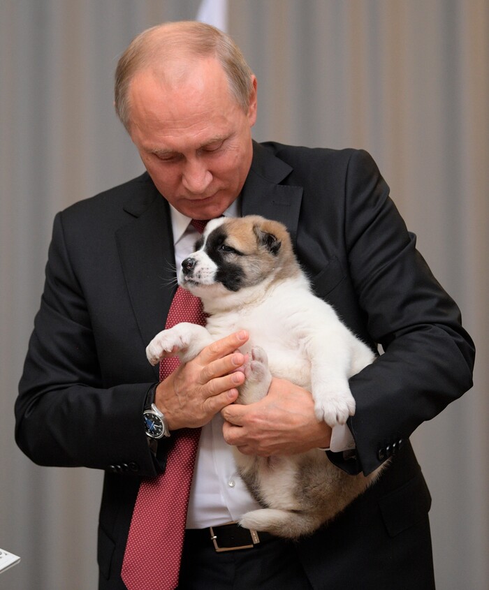 Russian President Vladimir Putin holds a puppy presented by Turkmenistan's President Gurbanguly Berdymukhamedov during their meeting in the Bocharov Ruchei residence in the Black Sea resort of Sochi, Russia, Wednesday, Oct. 11, 2017. The presidents met at the sidelines of a summit of leaders of ex-Soviet nations in Sochi. (Alexei Druzhinin/Sputnik, Kremlin Pool Photo via AP)