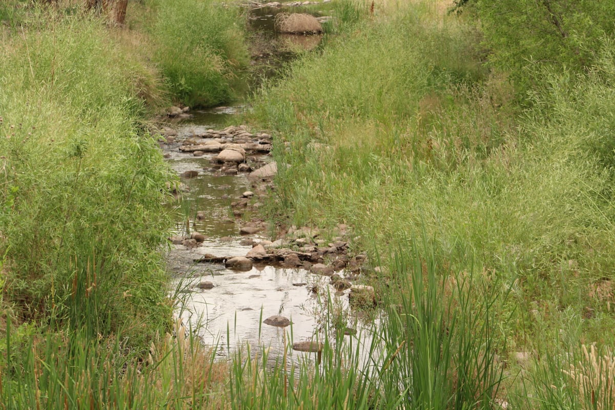 Wasserbeschränkungen könnten in Moab bevorstehen.