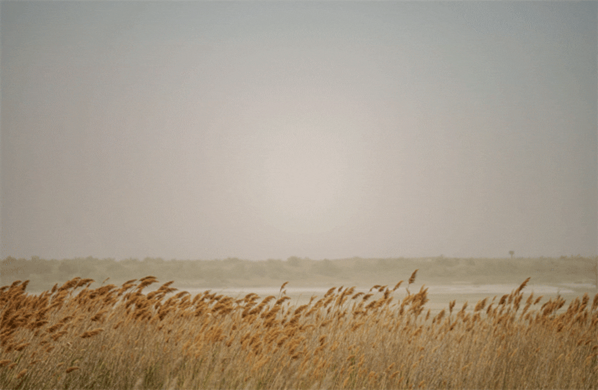 Toxic dust from the Great Salt Lake could cost Utah billions, report warns
