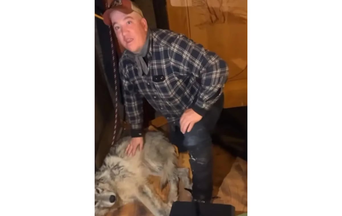 Wyoming hunter apologizes, pleads guilty for cruel treatment of an injured wolf in local bar