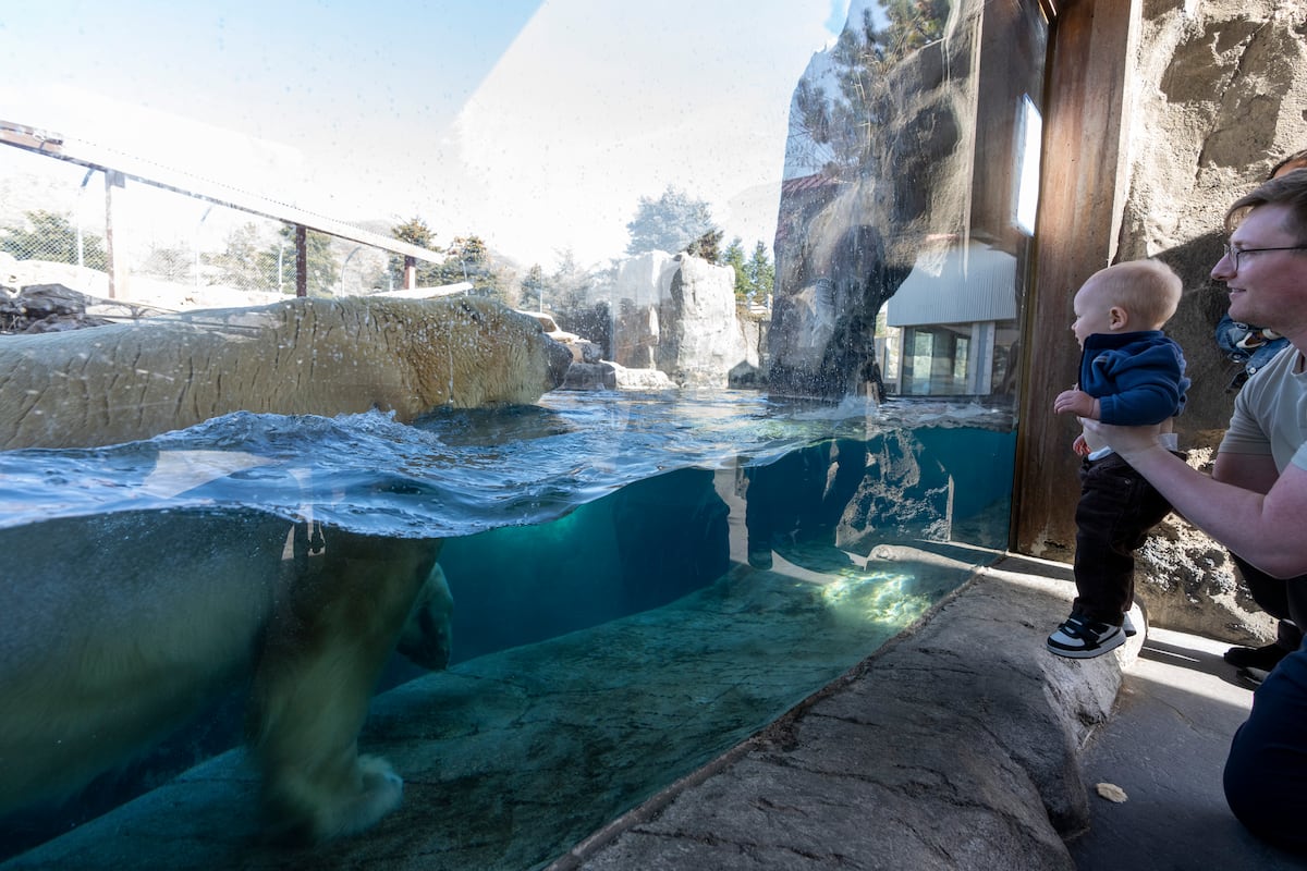 Voices Salt Lake County should vote to keep the ZAP program going