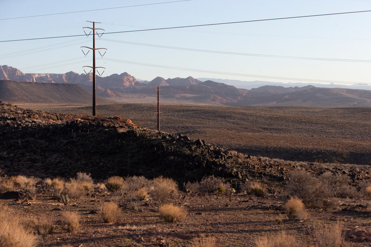 A highway through tortoise habitat? What the Northern Corridor’s revival means for southern Utah