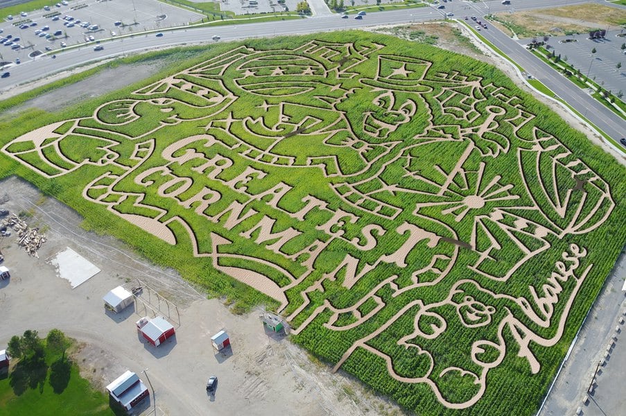 Thanksgiving Point S Corn Maze Opens Friday This Year With A Circus Theme The Salt Lake Tribune