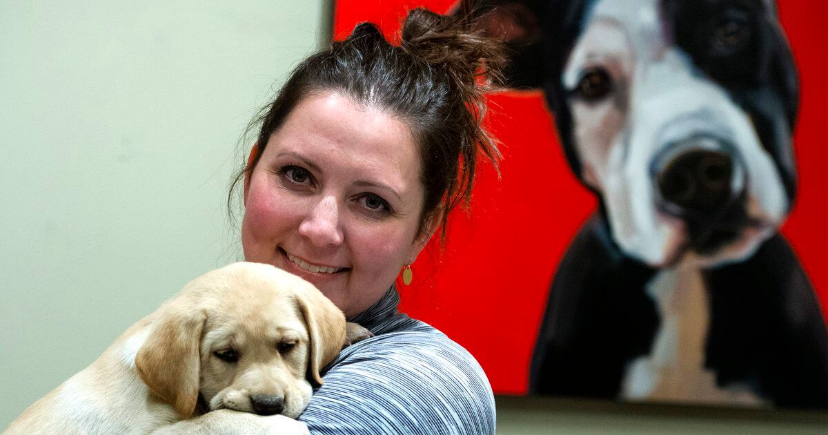 This Utah artist sold $30 works for paint money. Now her joyful dog portraits sell for thousands.