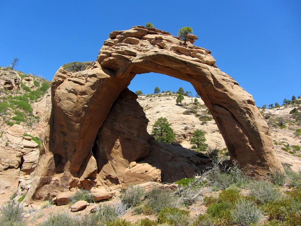 115 arches were left out of the reduced Bears Ears and Grand Staircase national monuments. A ...
