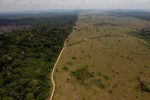 FILE - This Sept. 15, 2009 file photo shows a deforested area near Novo Progresso in Brazil's northern state of Para. (AP Photo/Andre Penner, File)