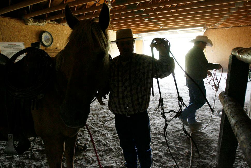 Box Elder ranching family held up as examples of sage grouse