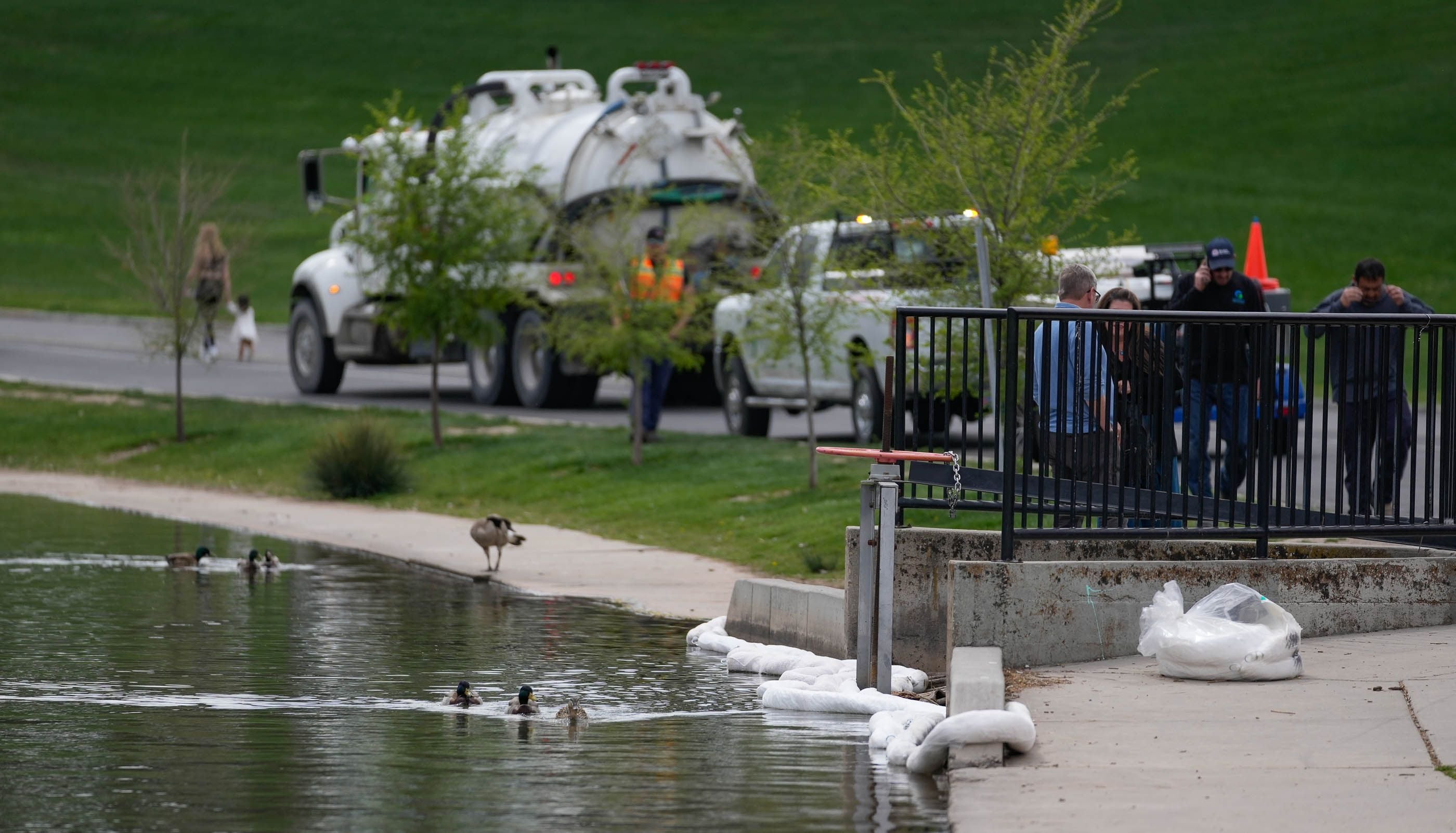 (Francisco Kjolseth | The Salt Lake Tribune) Cleanup efforts are underway at Sugar House pond following a fuel spill near Parley’s Creek from a semitruck crash in Parleys Canyon on Thursday, April 25, 2024.