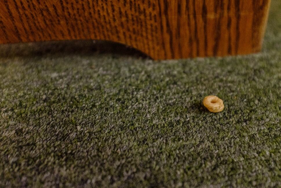 Sex abuse allegations have rocked the polygamous church of ‘Sister