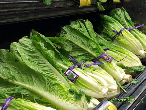 Don’t eat romaine lettuce grown in Salinas, California, officials say
